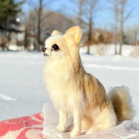 羊毛フェルト　猫　ハンドメイド　チワワ　front