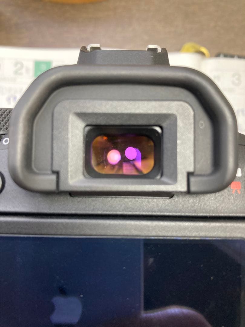 LIONA Canon EOS 6D Mark II 本体と付属品