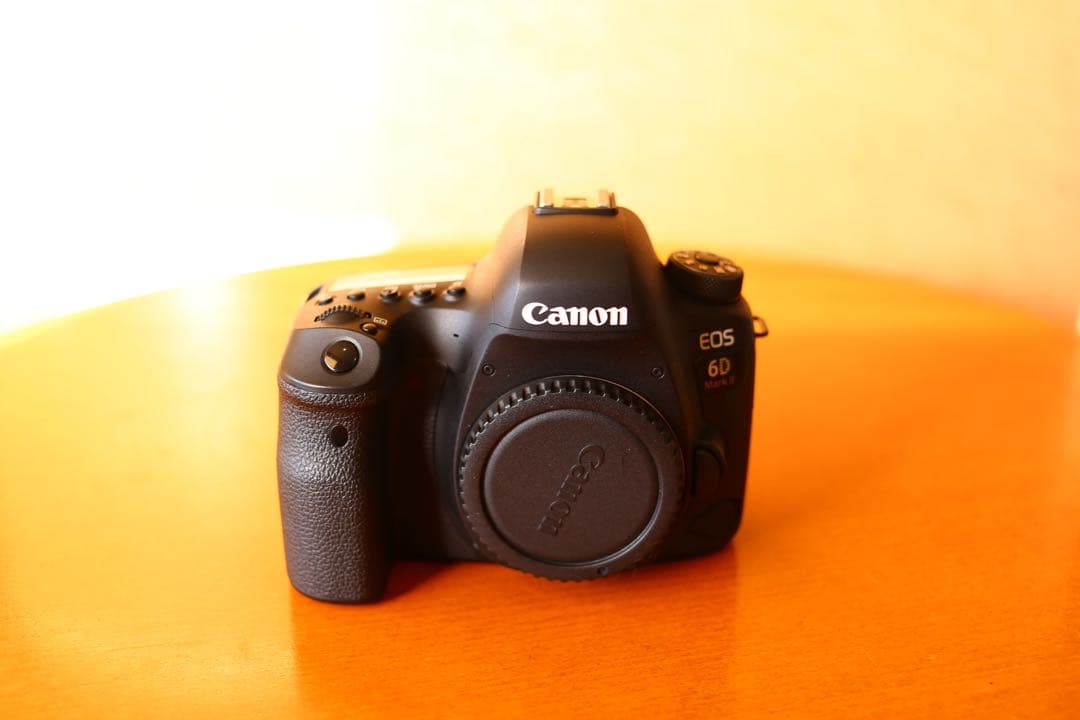LIONA Canon EOS 6D Mark II 本体と付属品