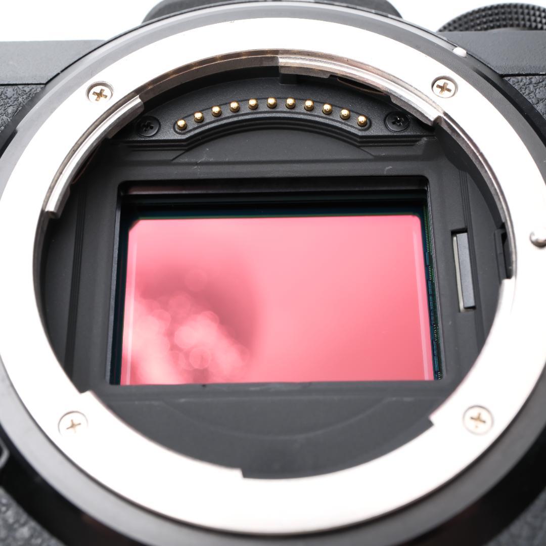 Nikon Z6 ミラーレス一眼