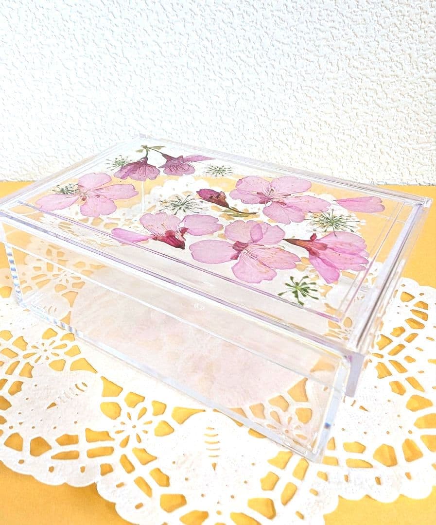 専用 固まるハーバリウム❁お花のクリアケース❁⑤