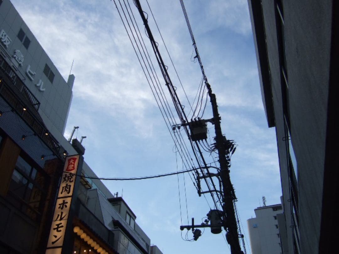【作例あり】FUJIFILM finepix F30 CCDセンサー