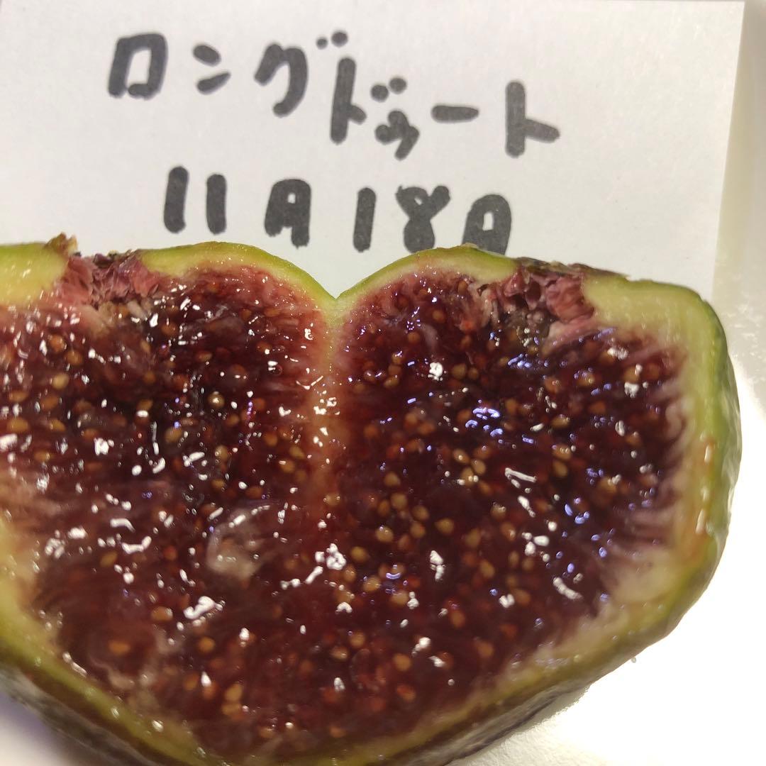 いちじく穂木