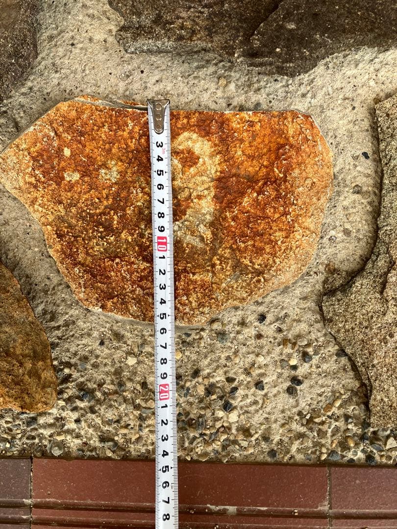 ◉石盆栽鉢　鞍馬石その他5個 松柏類、雑木類、長寿梅、山野草等の石付き盆栽に
