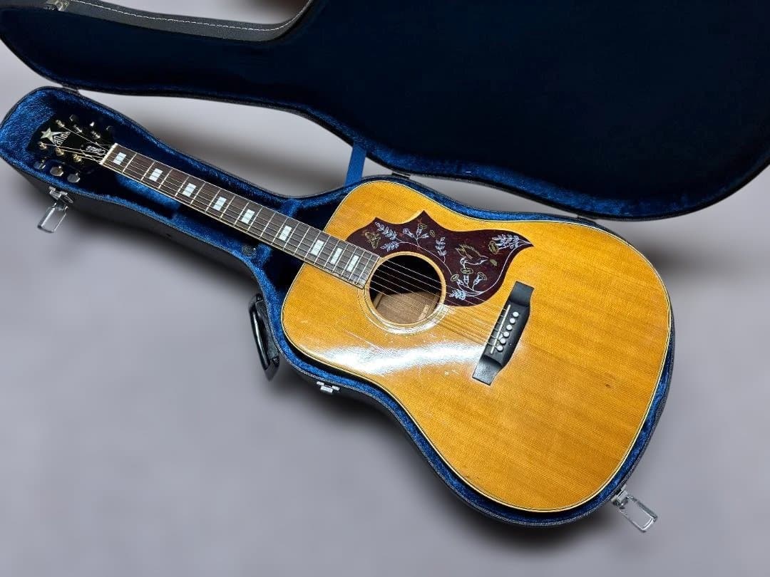 神田商会プロデュース！フジゲン製 CANDA-202 がこれだ！超激鳴・超美品