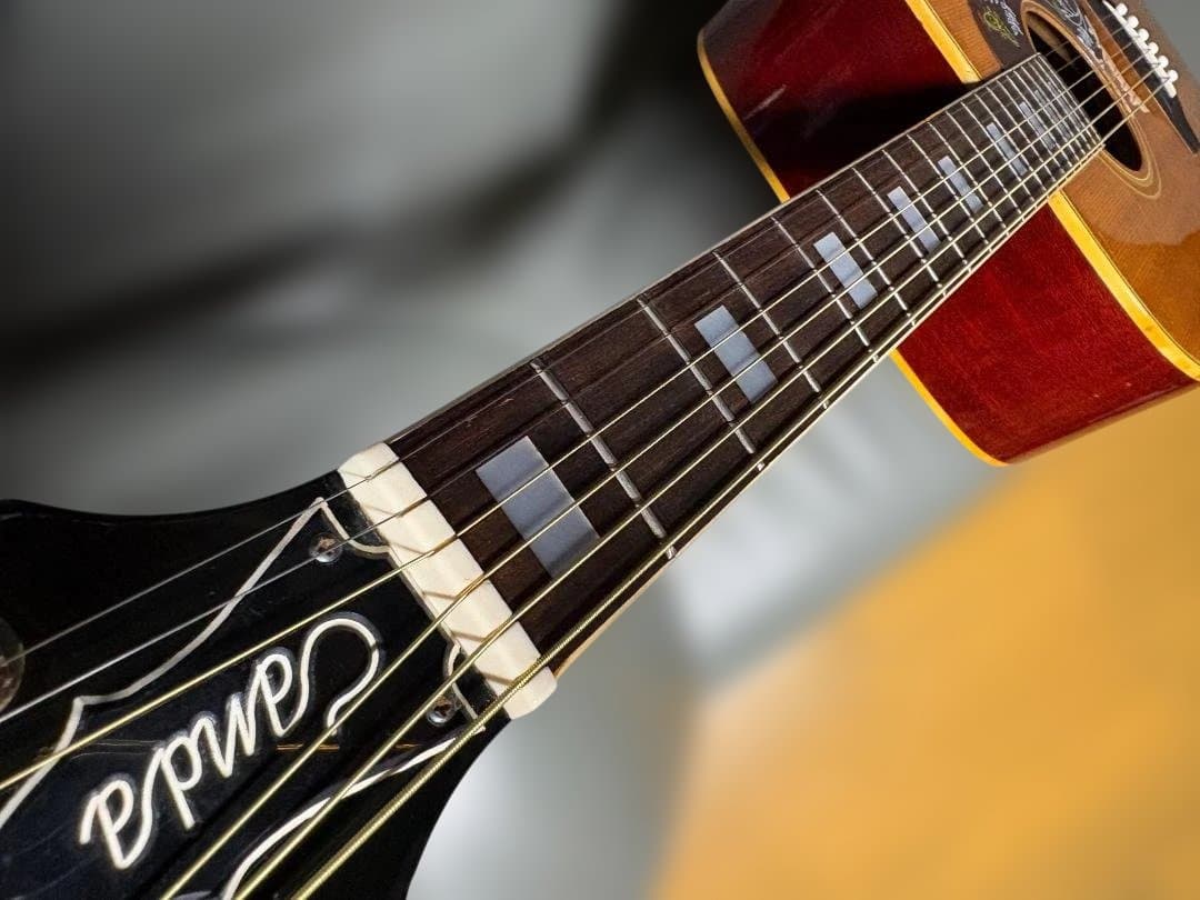 神田商会プロデュース！フジゲン製 CANDA-202 がこれだ！超激鳴・超美品