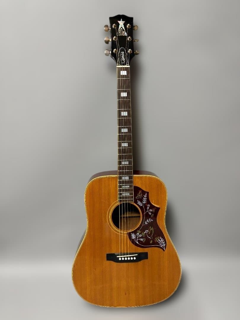 神田商会プロデュース！フジゲン製 CANDA-202 がこれだ！超激鳴・超美品