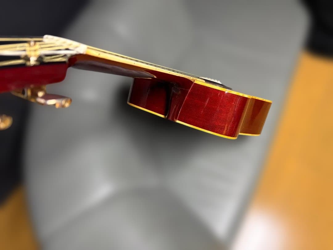 神田商会プロデュース！フジゲン製 CANDA-202 がこれだ！超激鳴・超美品