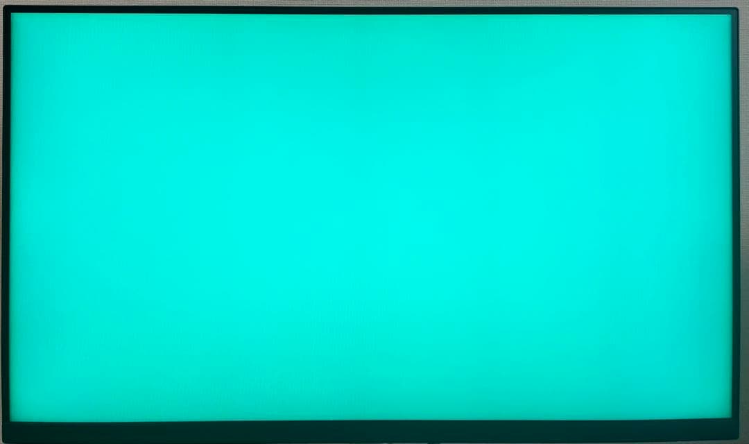 DELL デル P2422H 23.8インチ 液晶モニター