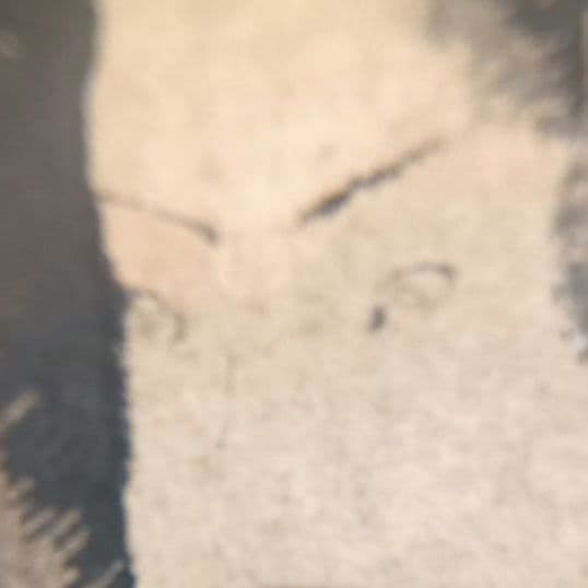 浮世絵 五渡亭国貞　歌川国貞　尾上栄五郎　骨董　古道具　アンティーク