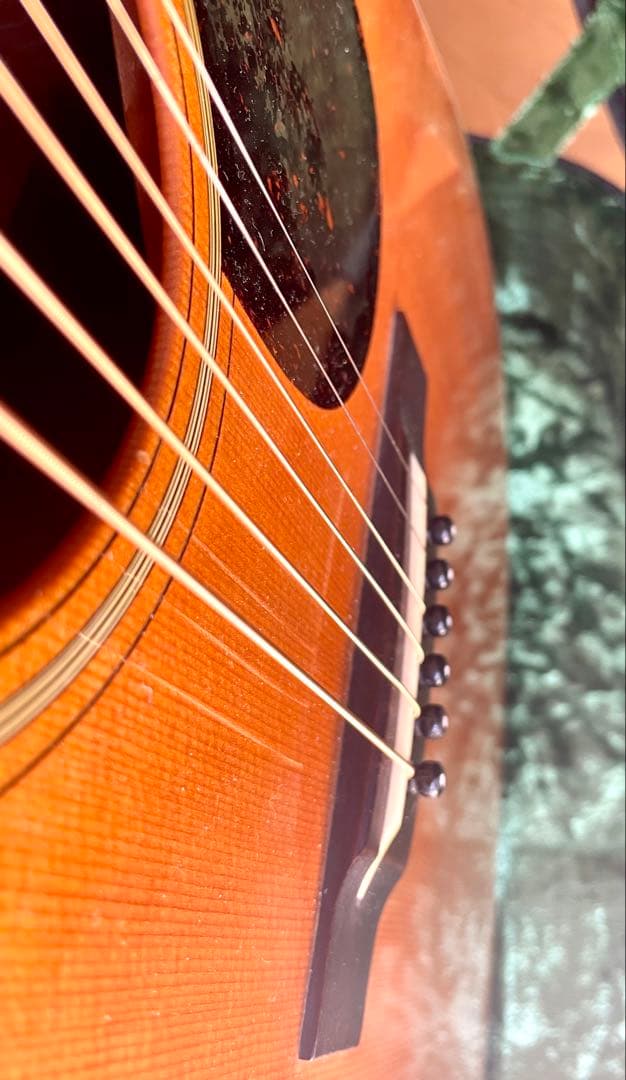 Cat's Eyes CE-700S（Martin D-21レプリカ）