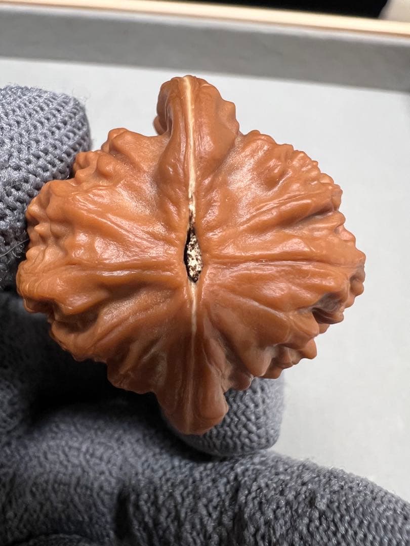 文玩堂：大紅袍獅子頭（上質品）手作り磨き