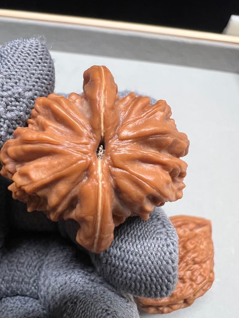 文玩堂：大紅袍獅子頭（上質品）手作り磨き