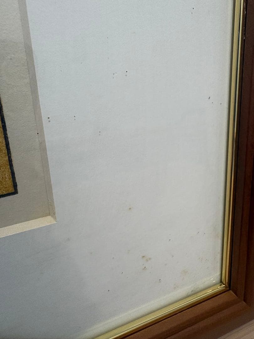 吉田遠志　箱根神仙郷　日光殿のお庭