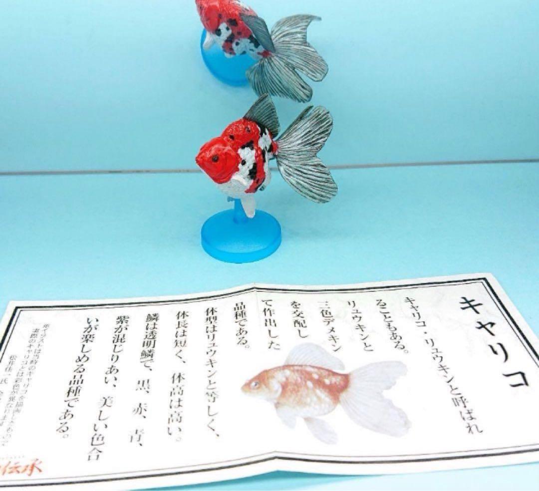 希少【金魚伝承】 金魚伝来500年記念フィギュア ノーマルコンプ１０種