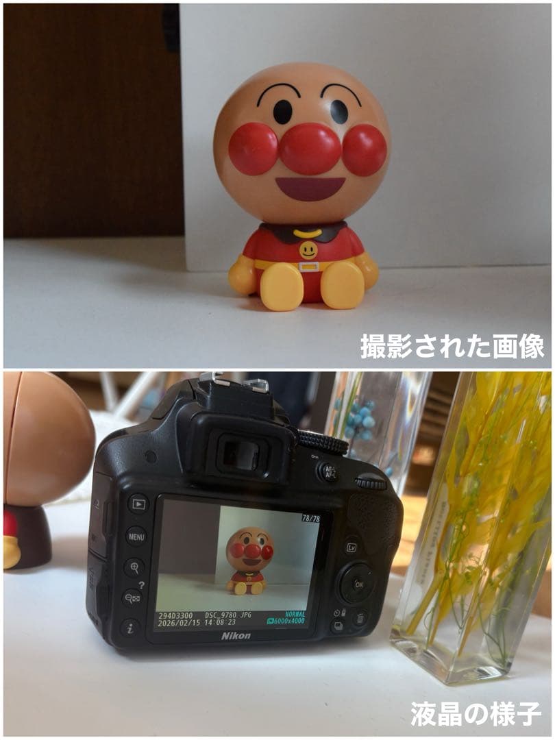 美品✨ ニコン 一眼レフ 完動品 Nikon D3300☘️高画質 動画撮影 人気