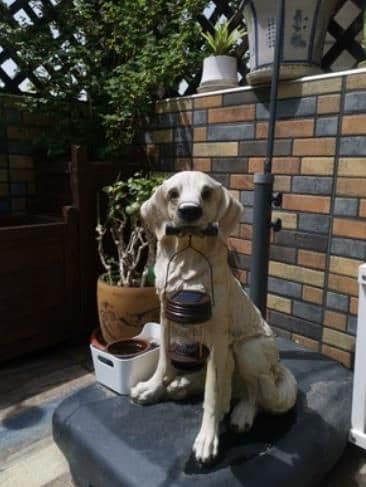 手提げタイプ(4個セット, 暖色) ランタン ソーラー 屋外 ソーラーライト