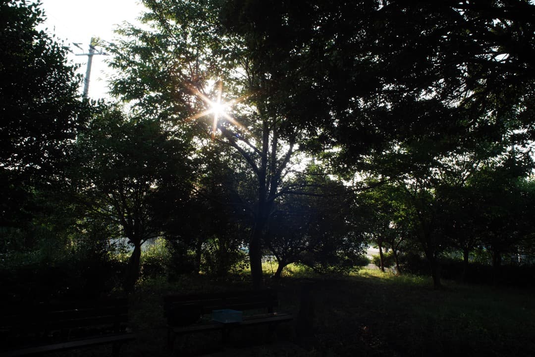 【極美品】動作◎ Canon FD 24mm F2.8 S.S.C 476