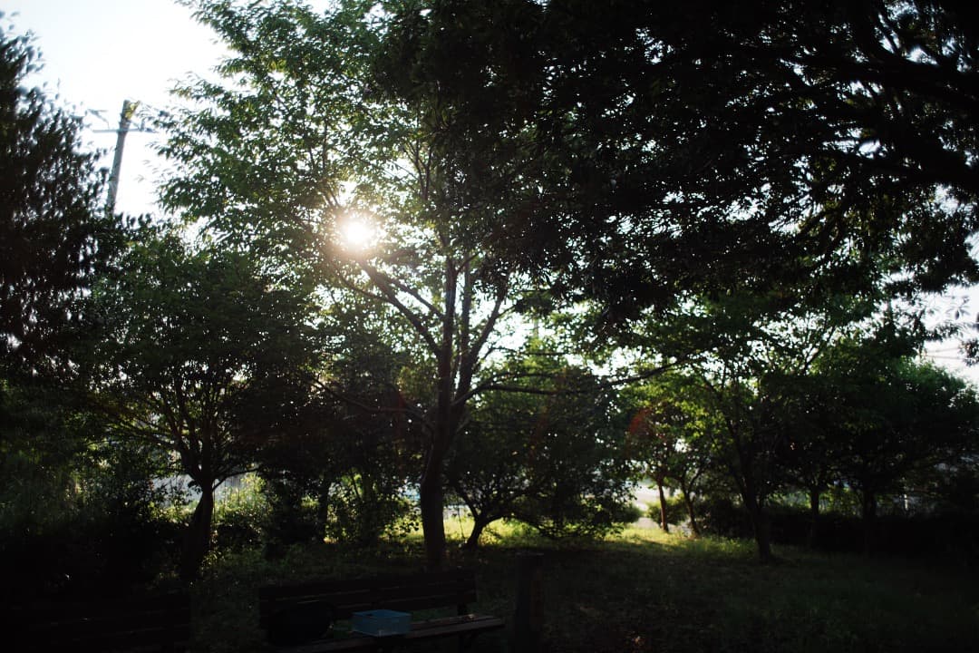 【極美品】動作◎ Canon FD 24mm F2.8 S.S.C 476