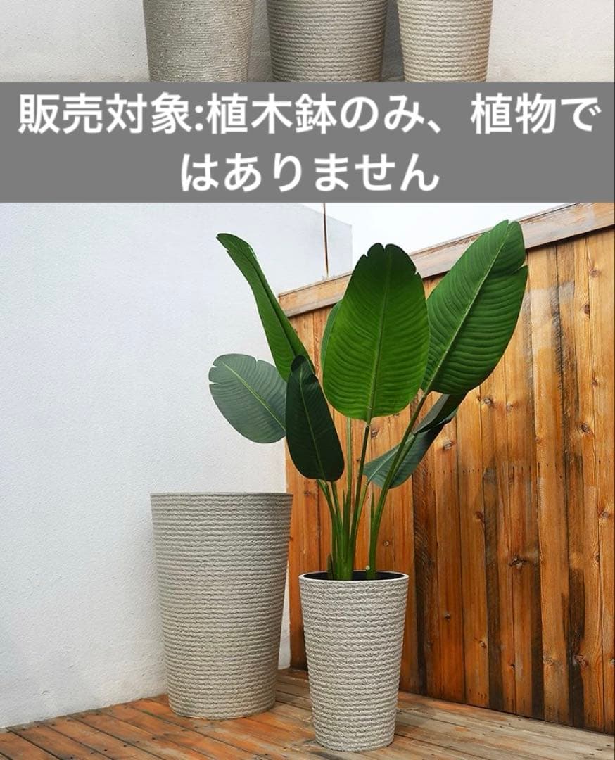 植木鉢高さ42cm 排水トレー付き　引き取り限定(板橋区)