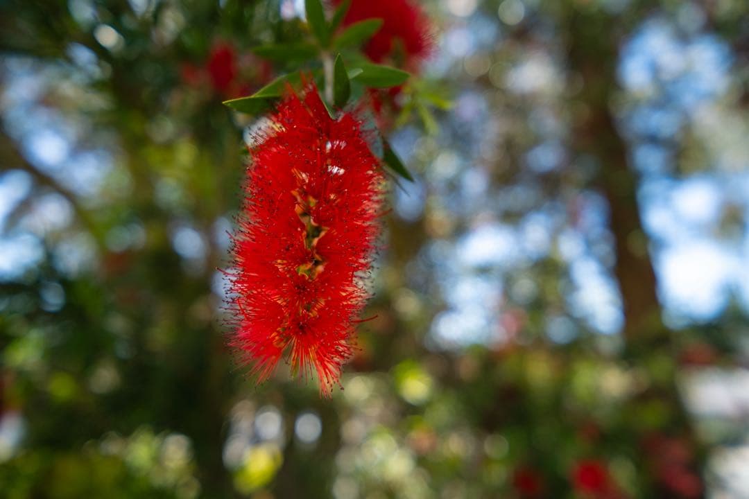 VILTROX AF 13mm F1.4 XF レンズ