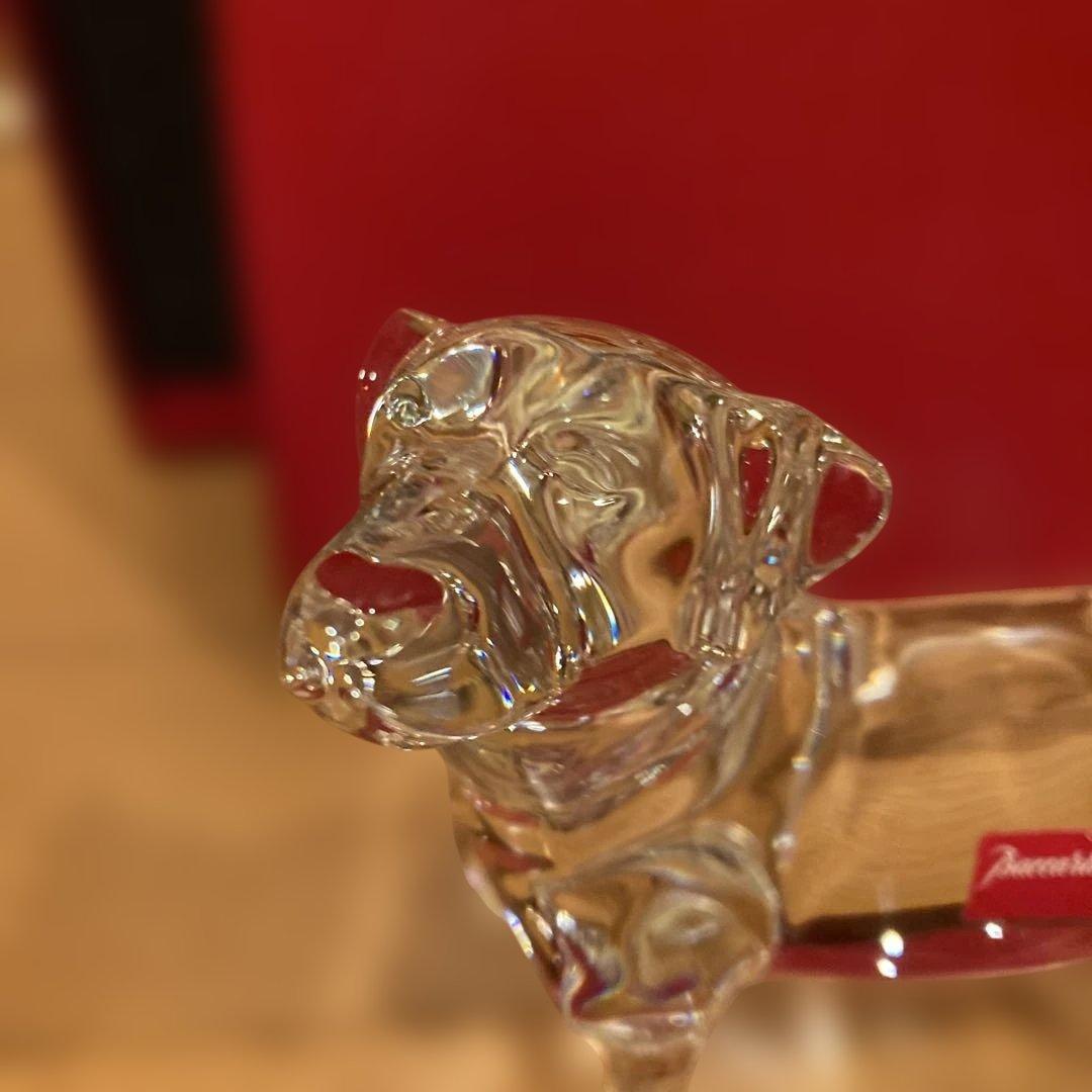 Baccarat クリスタル 犬の置物