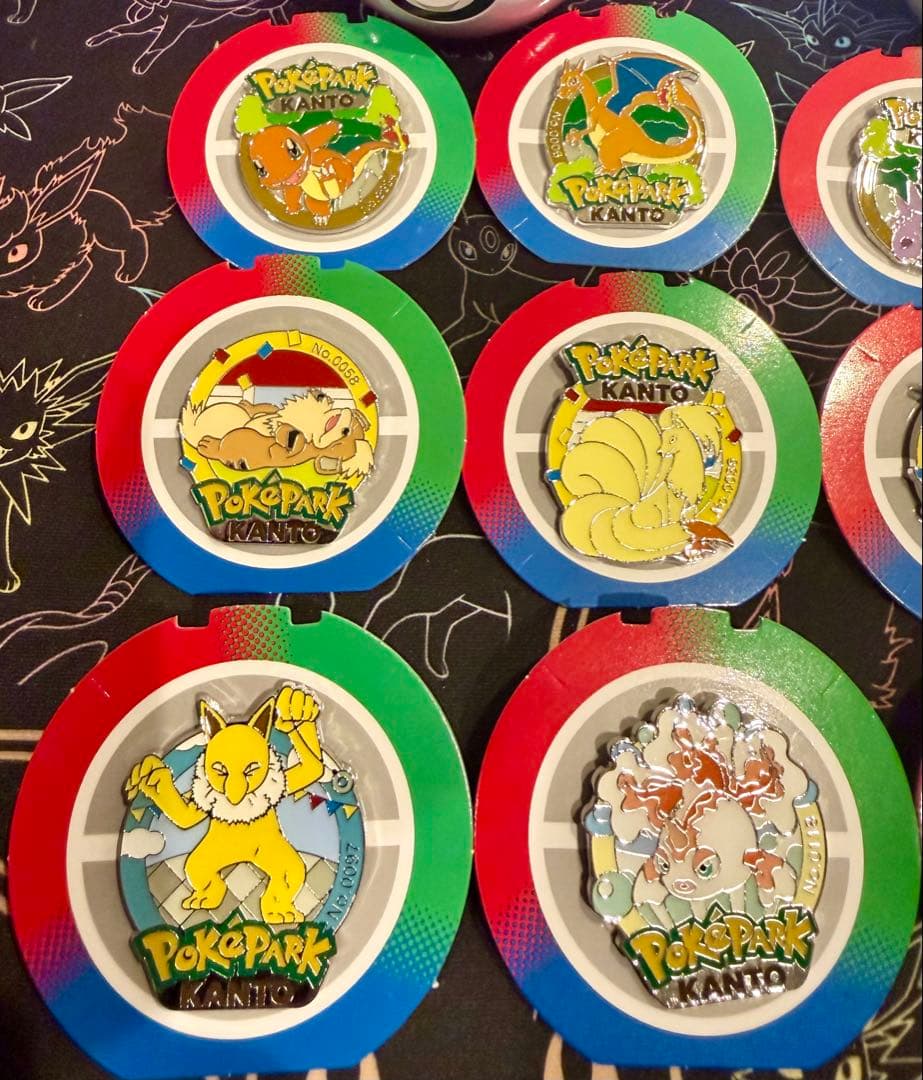 ポケパーク カントー ピンバッジ 16個セット リザードン ライチュウ ガルーラ