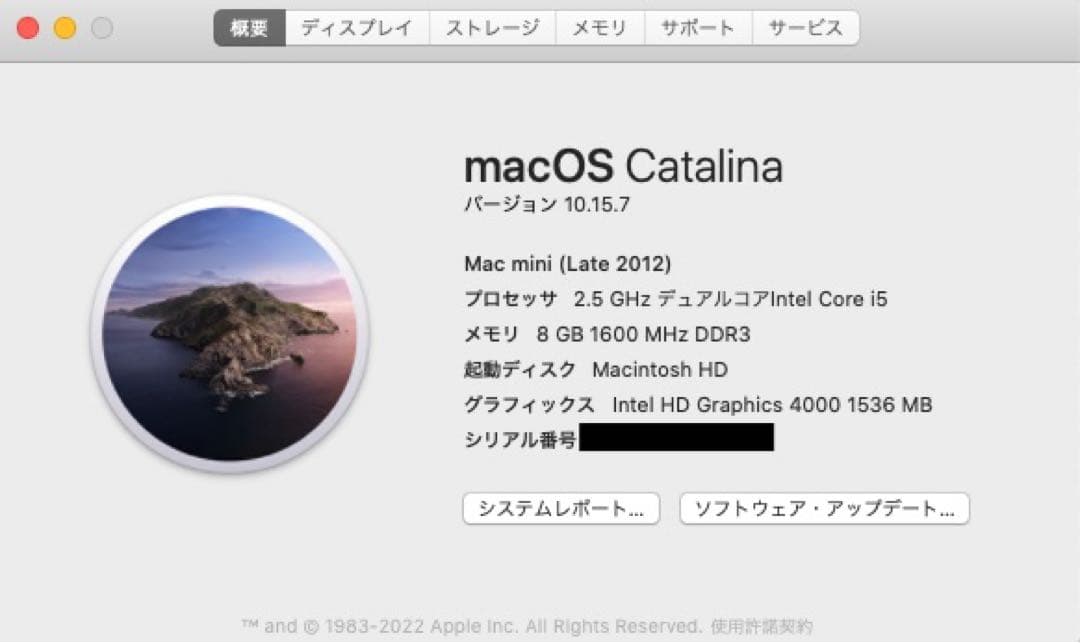Apple Mac mini 2012 SSD+HDDデュアル構成