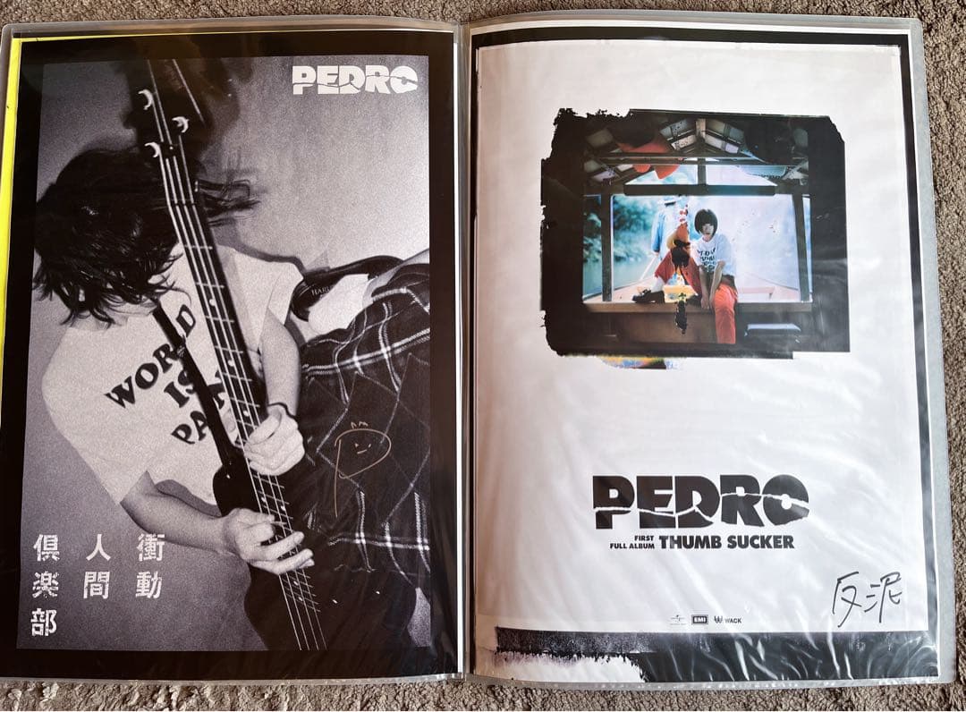 【17枚セット】BiSH・PEDRO アユニ・Ｄ　ポスター