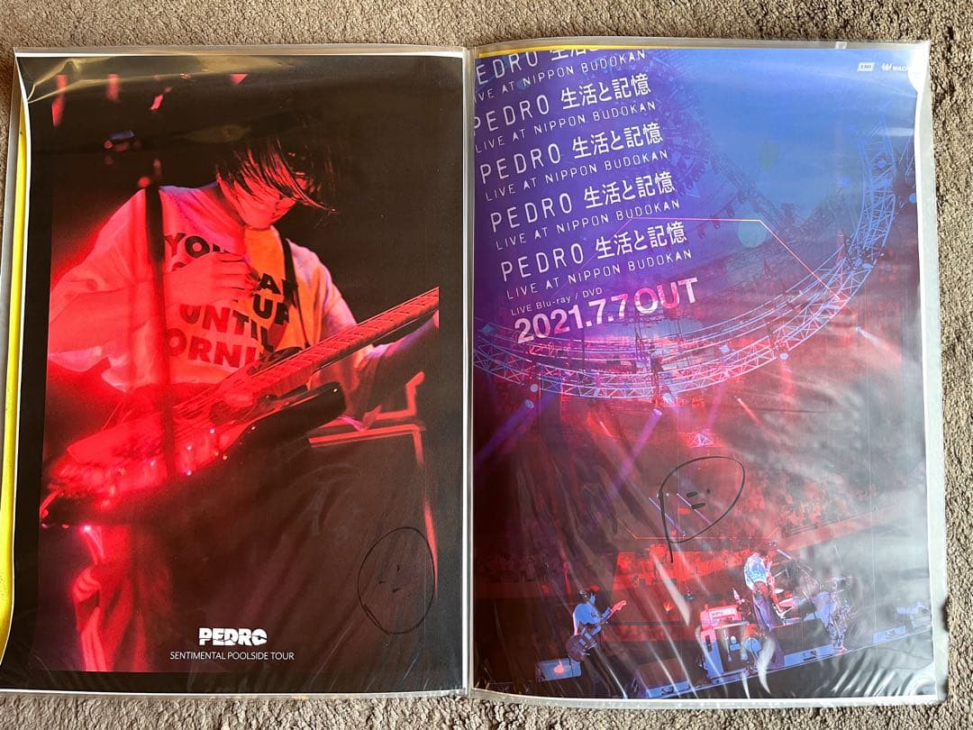 【17枚セット】BiSH・PEDRO アユニ・Ｄ　ポスター