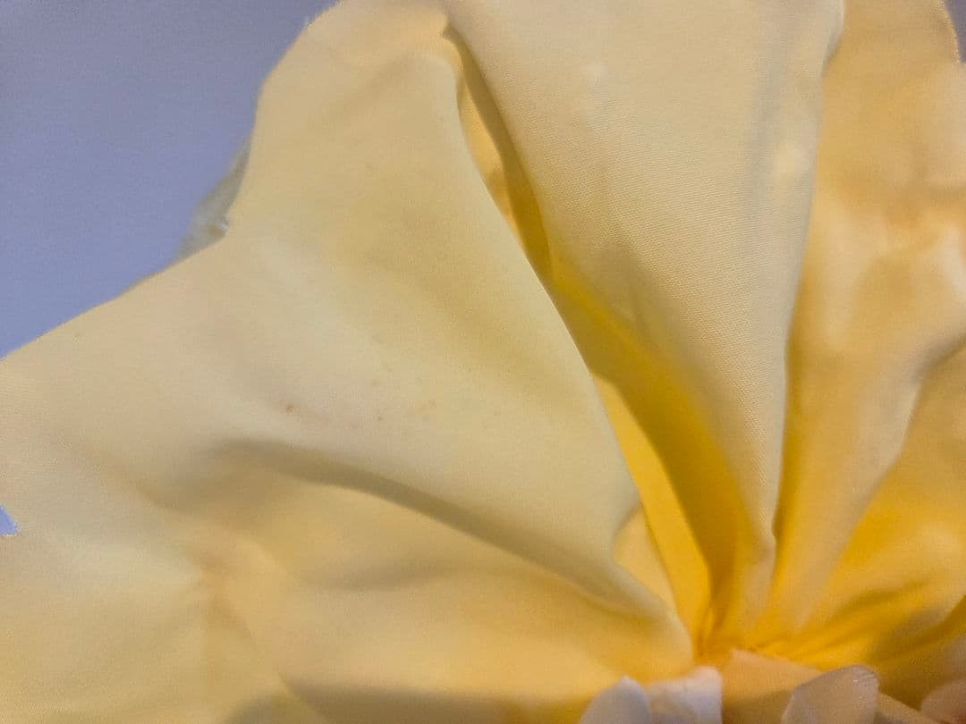 若月まり子　クロリス黄