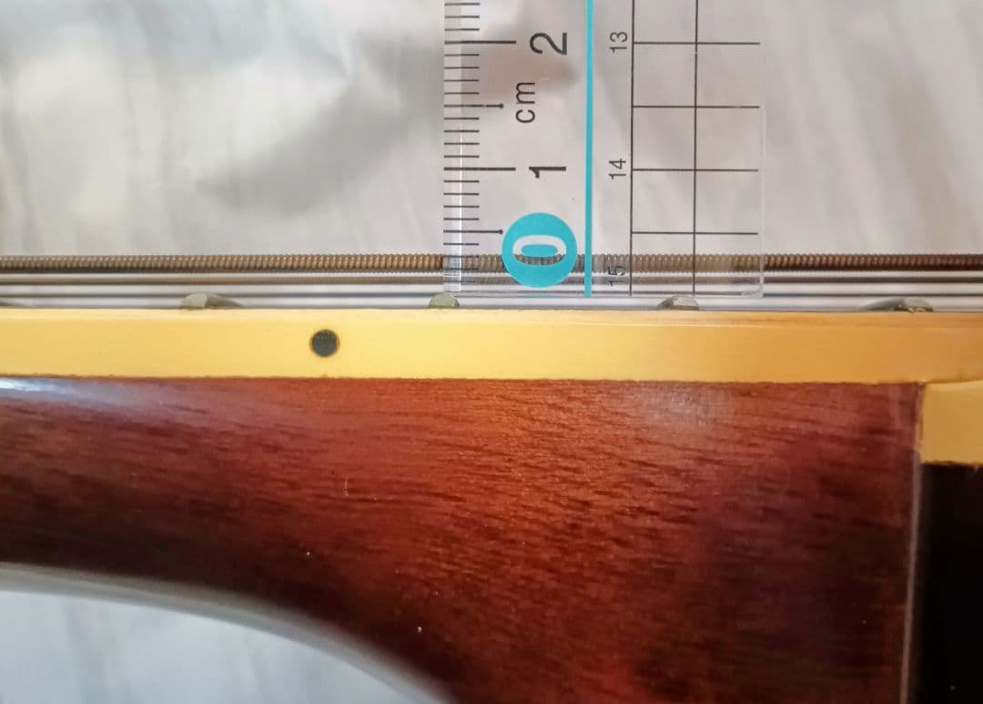 Three S W-150 SUZUKI VIOLIN アコースティックギター