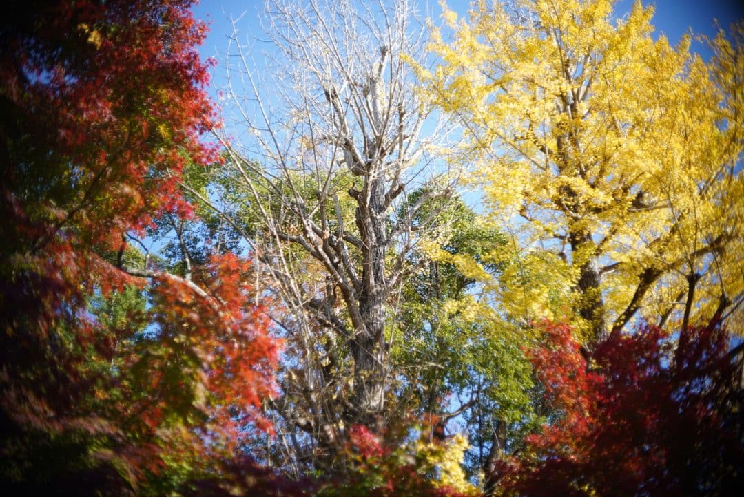 【動作確認済】OLYMPUS PEN用 38mm f1.8 TTL 初期保証付き