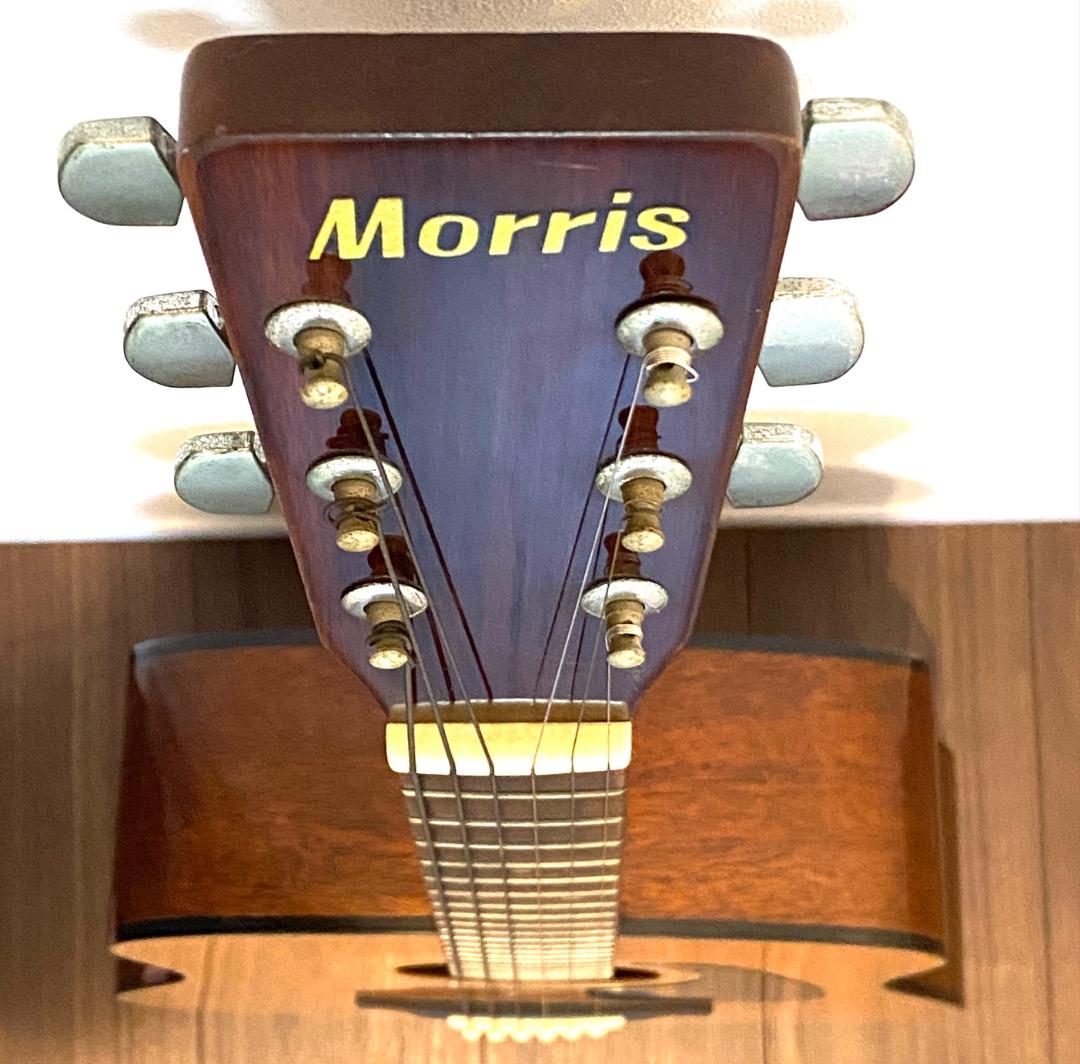 【送料込み】Morris モーリス MD-502 アコースティック ギター