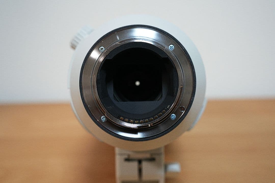 ソニー SONY SEL200600G＋EXUS レンズプロテクター