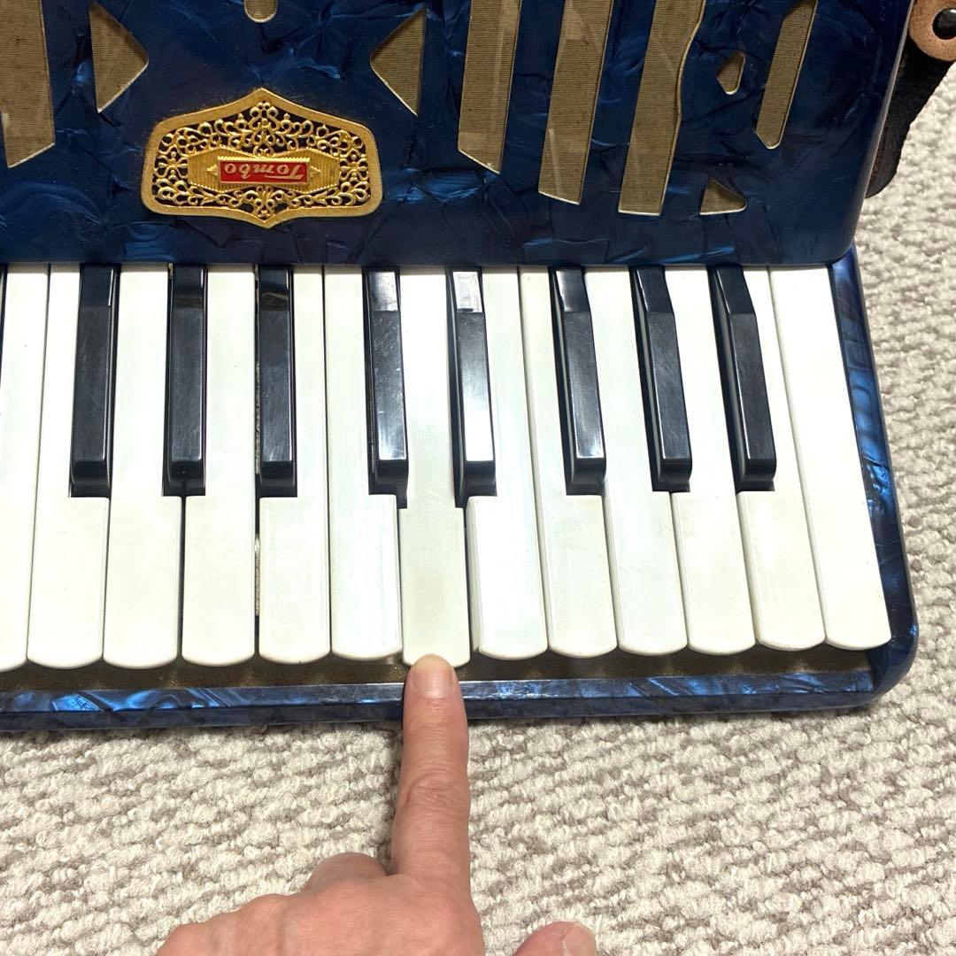 #お値下げ　トンボアコーディオン No.211 30鍵青黒マーブル　レトロ