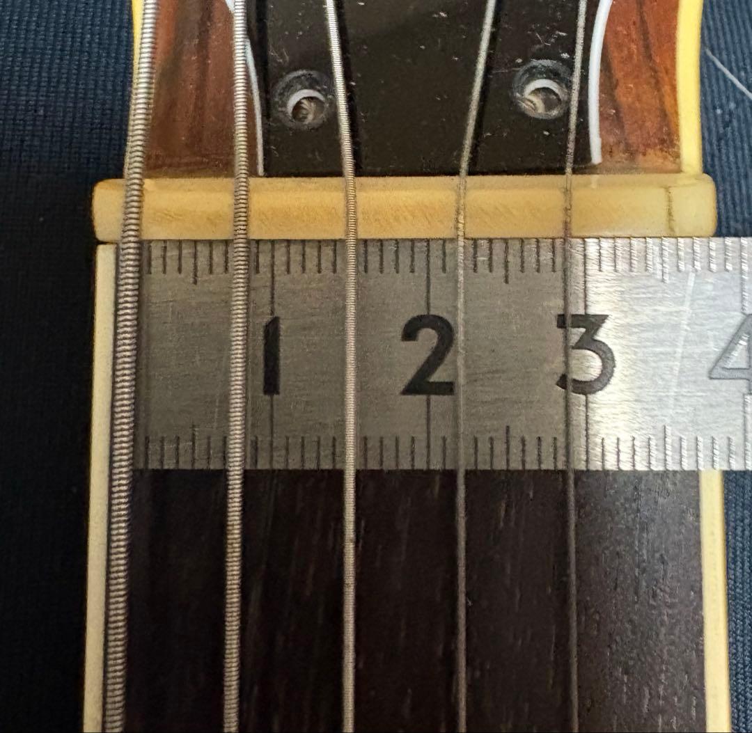 Burny モッキンバード メイプルトップ/マホバック 限定スポット生産品ＭＧ