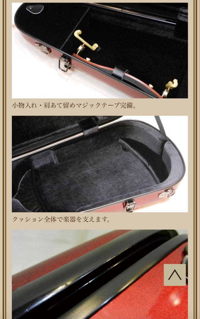 バイオリン ピグマリウス 4/4 ケースつき