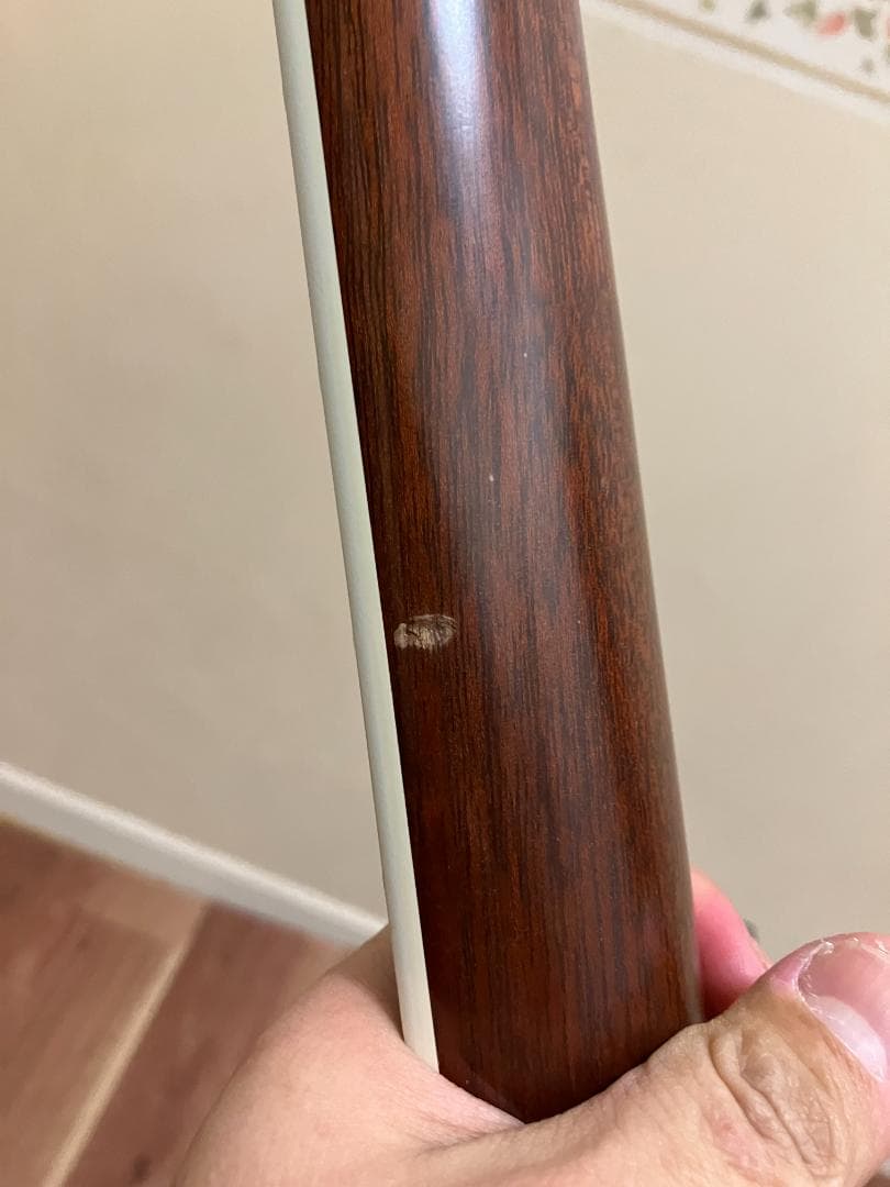 TAYLOR 810-BCE 2000年製　塗装剥がれあり　完動品　ハードケース