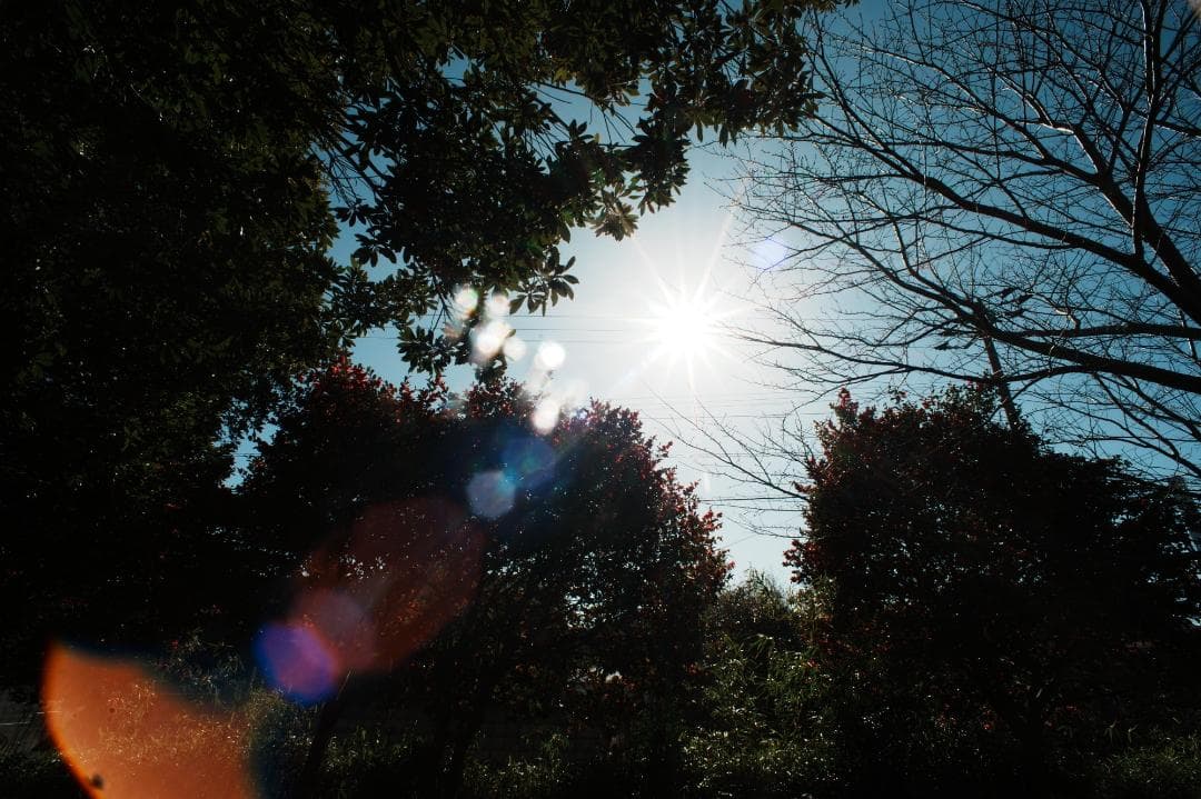 希少【テスト済】Nikon Ai Nikkor 18mm F4 593