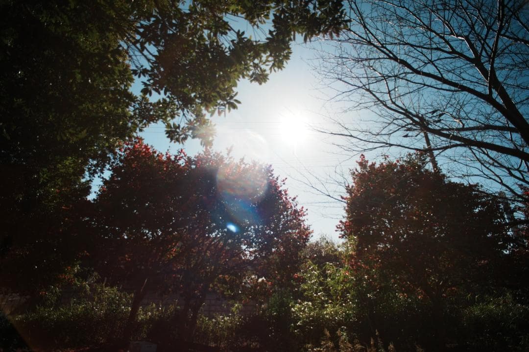希少【テスト済】Nikon Ai Nikkor 18mm F4 593