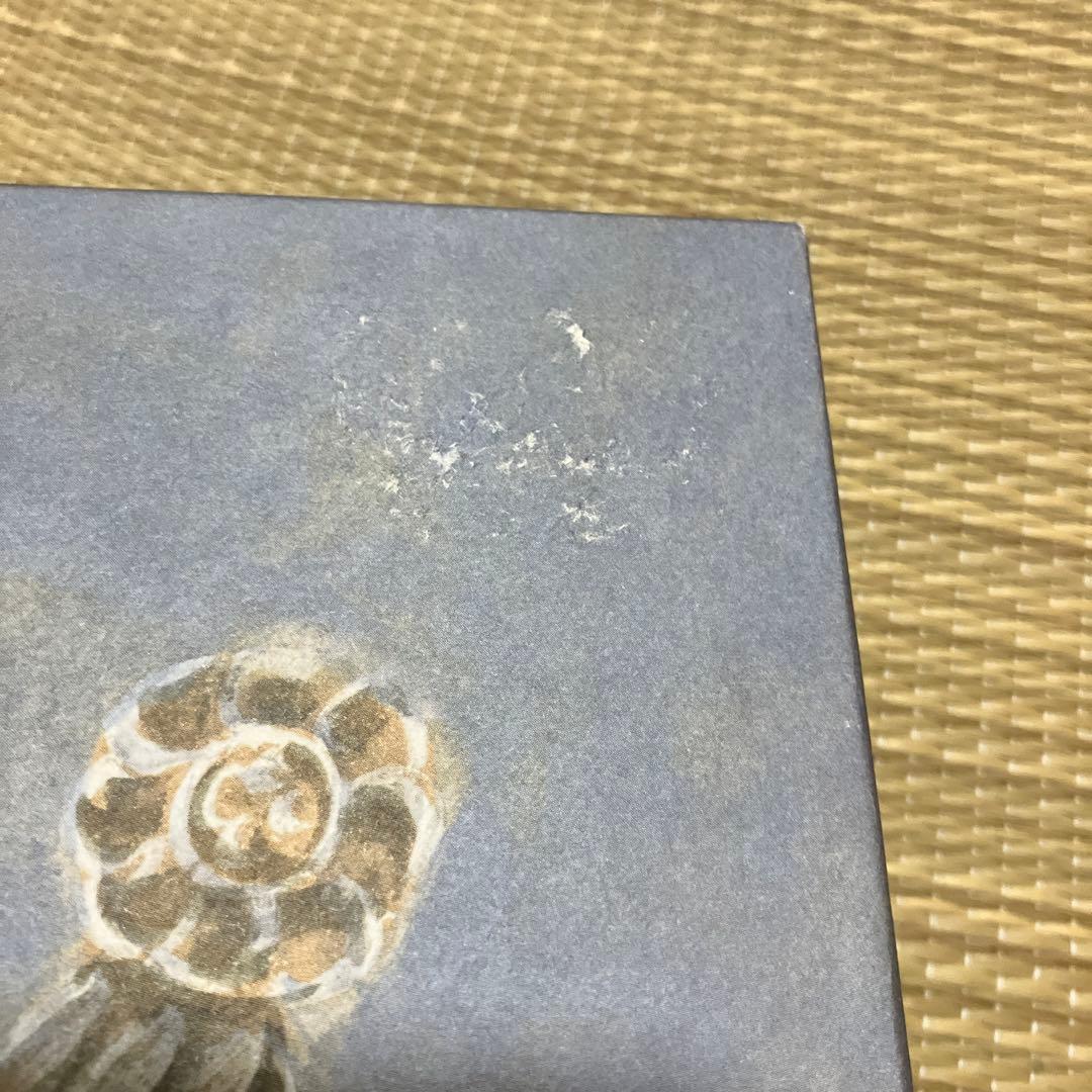 さらに♥️いいね 感謝セール‼️ レア‼️ミナペルホネンコラボ リチャードジノリ