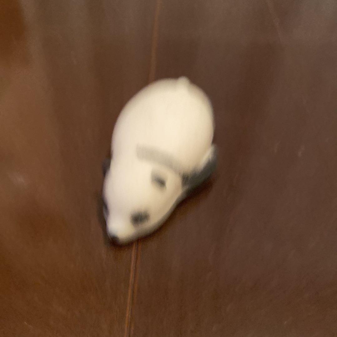 パンダのスクイーズです。とても古いものなので大変汚れています。