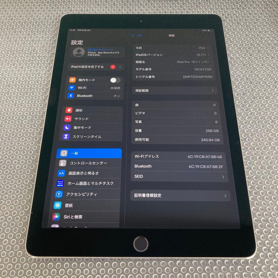 2761【早い者勝ち】iPad Pro 256GB 9.7インチ WIFIモデル