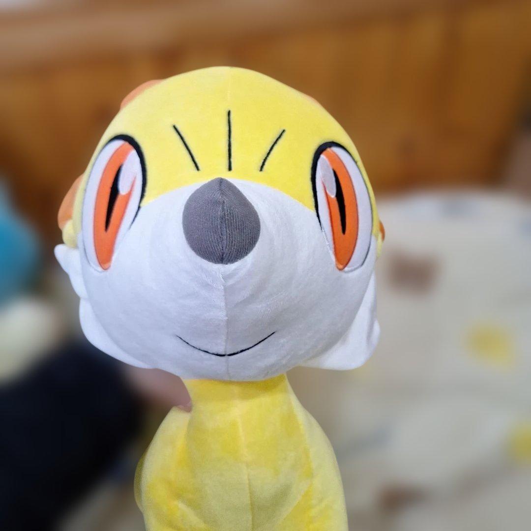 タグ付き　ポケモンセンター　等身大　カロス　御三家　ぬいぐるみ