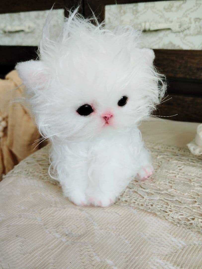 セルカークレックス子猫♡よちよち期♡癖っ毛のララちゃん♡アートドール♡ぬいぐるみ