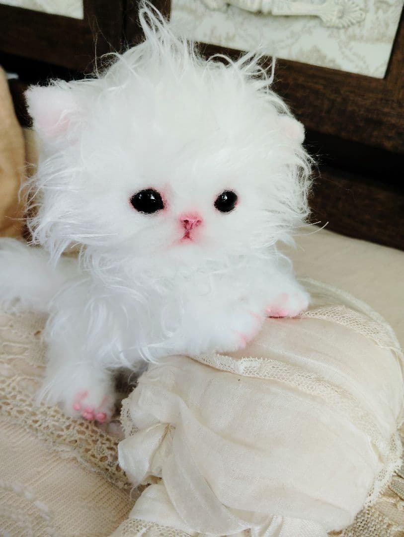 セルカークレックス子猫♡よちよち期♡癖っ毛のララちゃん♡アートドール♡ぬいぐるみ