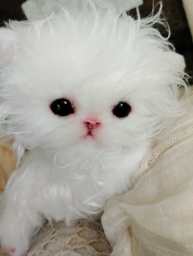 セルカークレックス子猫♡よちよち期♡癖っ毛のララちゃん♡アートドール♡ぬいぐるみ