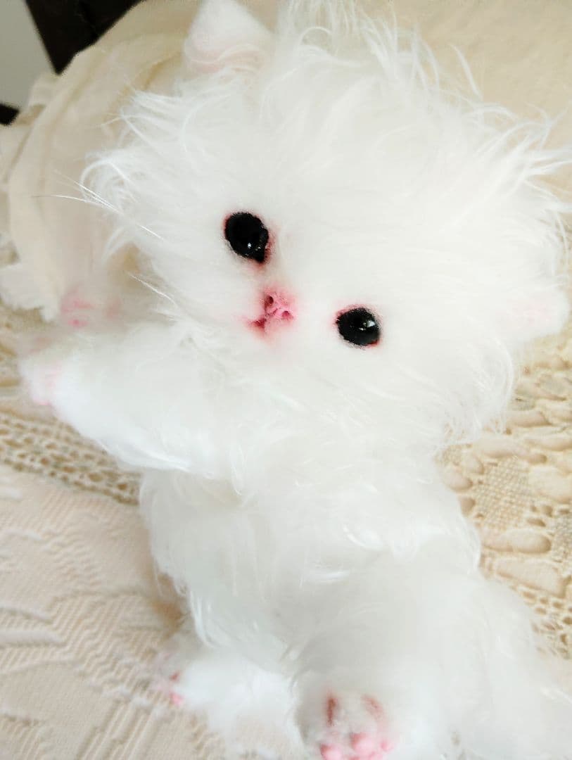 セルカークレックス子猫♡よちよち期♡癖っ毛のララちゃん♡アートドール♡ぬいぐるみ