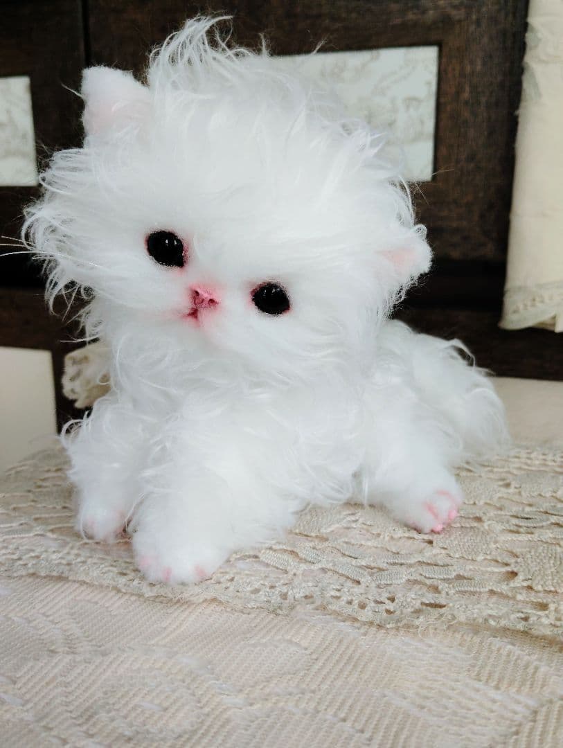 セルカークレックス子猫♡よちよち期♡癖っ毛のララちゃん♡アートドール♡ぬいぐるみ